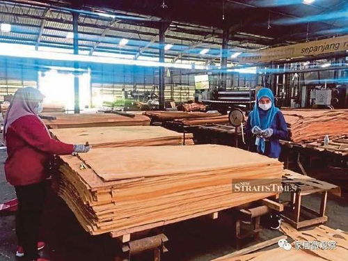 馬來西亞木制品出口迎來爆發(fā)期 預(yù)計2025年達(dá)287億人民幣，產(chǎn)業(yè)升級與全球需求雙輪驅(qū)動